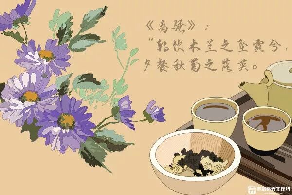 不要因为我是娇花而怜惜我丨食用花卉有热度 Abt植物视界 微信公众号文章阅读 Wemp