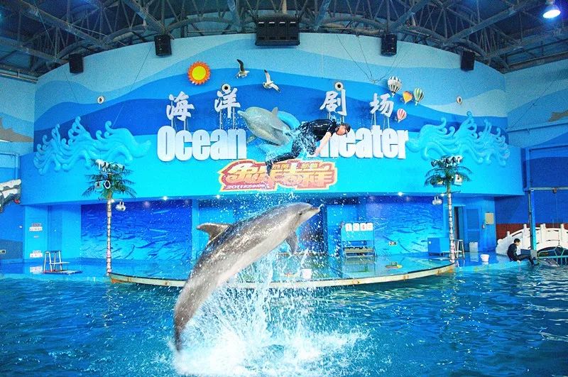 8周年庆苏州海洋馆春节期间特惠价预订