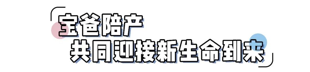 頭回見！能分期的「生娃方式2.0」，一天只要60+！ 親子 第24張