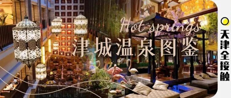 30+玩一整天！不出天津，解锁北海道同款汤屋！