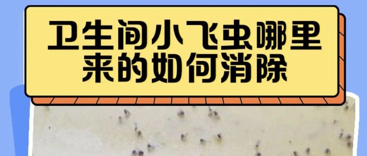cover_image