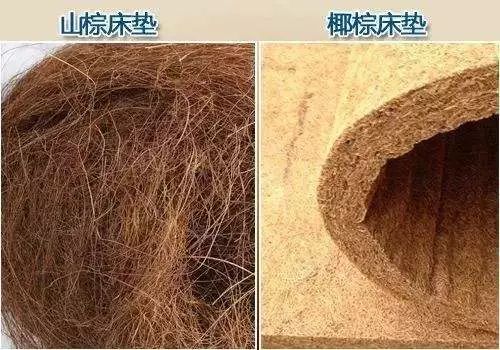 记忆棉床垫什么优点_棉床垫好吗_棉床垫的优缺点