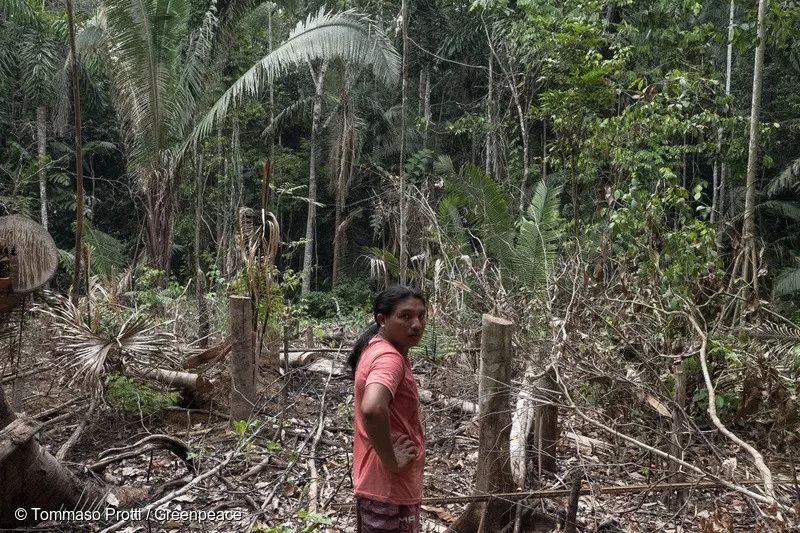亚马逊雨林大火，20多天无人救援，宛如世界末日！