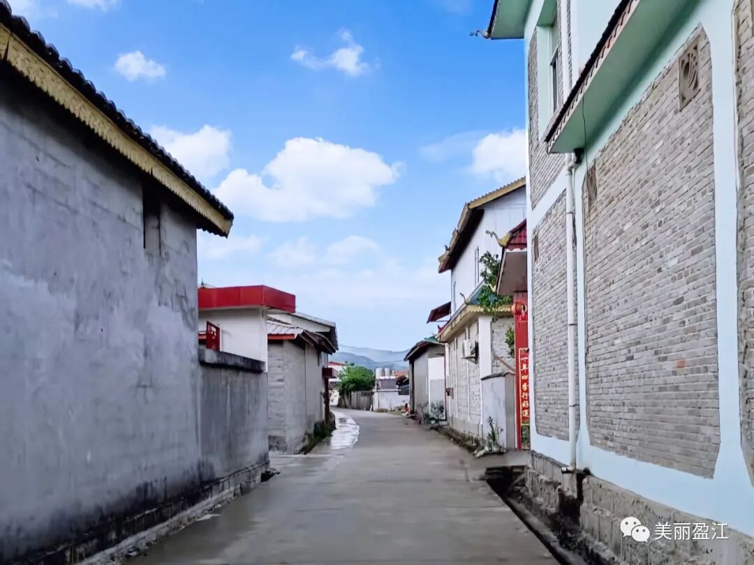 我为群众办实事丨弄璋镇:在"我为群众办实事"中提升基层组织力_盈江县