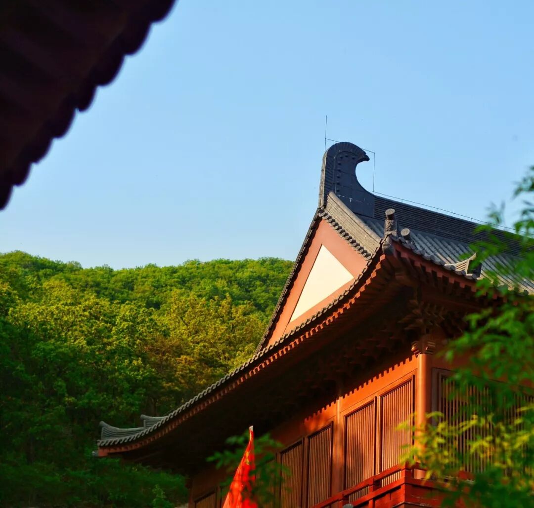 跳出五行三界外下句是_跳出三界外不在五行中行怎么读_跳出三界外不在五行中是什么意思