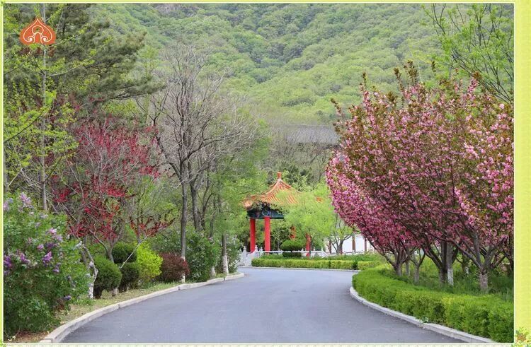 跳出三界外不在五行中是什么意思_跳出三界外不在五行中行怎么读_跳出五行三界外下句是