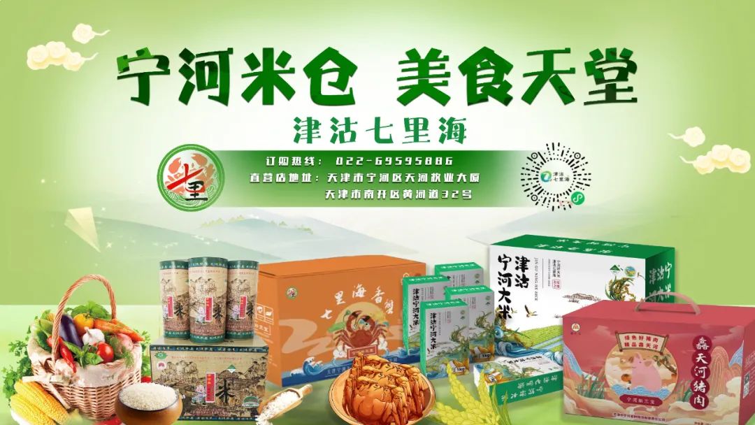 为“河”守护丨东棘坨镇：坑塘治理显成效 人居环境焕新颜