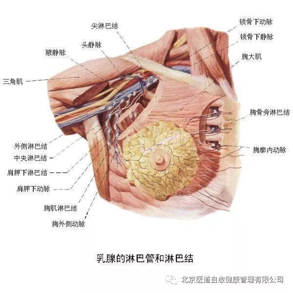 身体内的湿气是什么