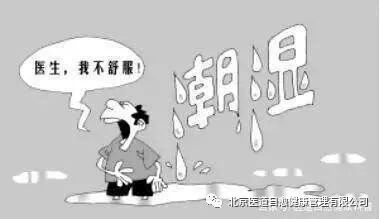 身体内的湿气是什么