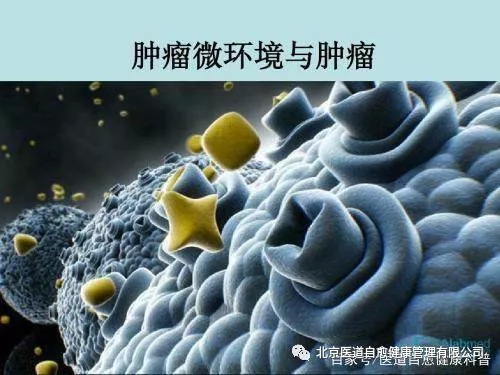 身体内的湿气是什么 身体内的湿气是什么