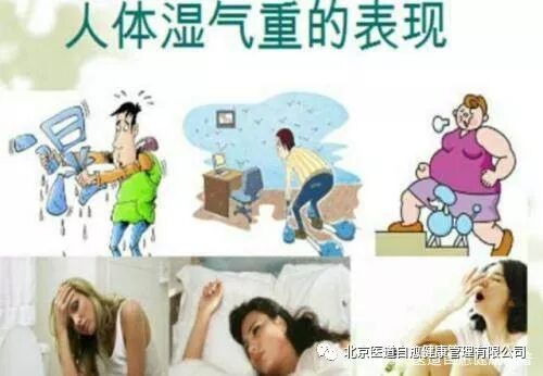身体内的湿气是什么