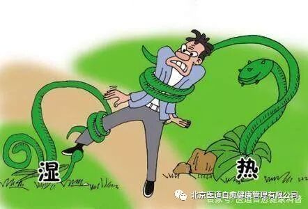 身体内的湿气是什么