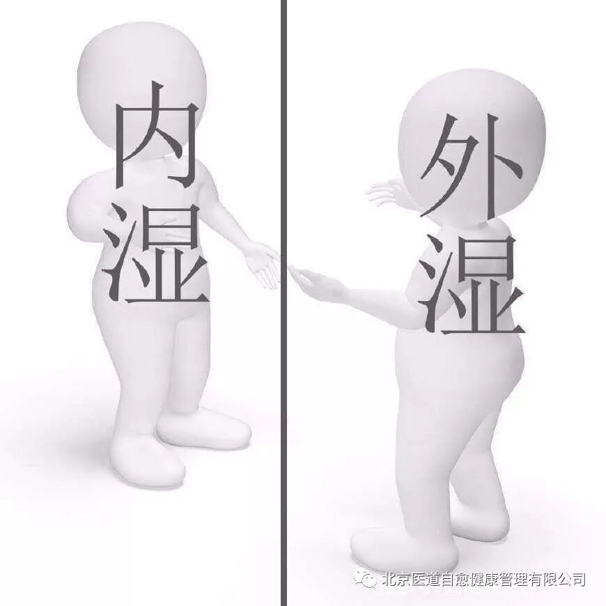 身体内的湿气是什么