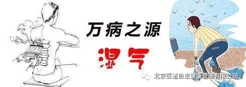 身体内的湿气是什么