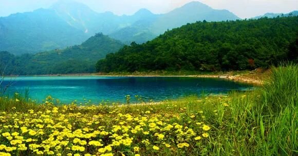 陇南景区排名_陇南成县到西峡颂景区_陇南旅游景区有哪些