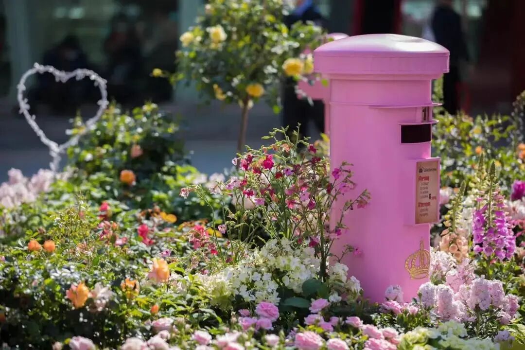 预告2021粤港澳大湾区深圳花展即将开幕