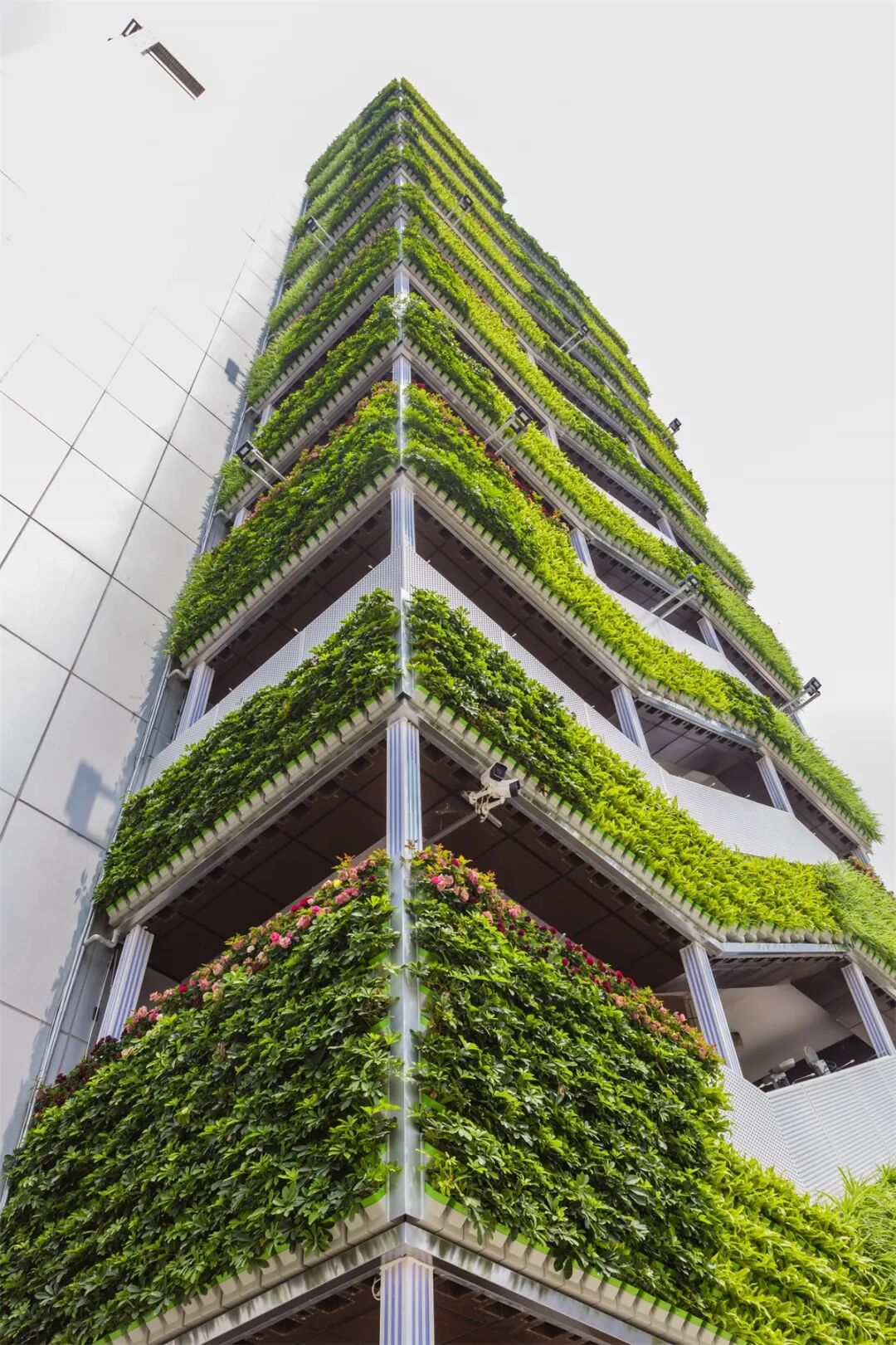 智慧立体绿化绿云智通助力扮靓城市