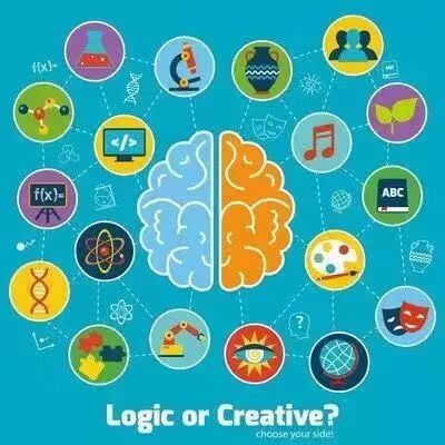 全脑教育——您的孩子可以比爱因斯坦还聪明！