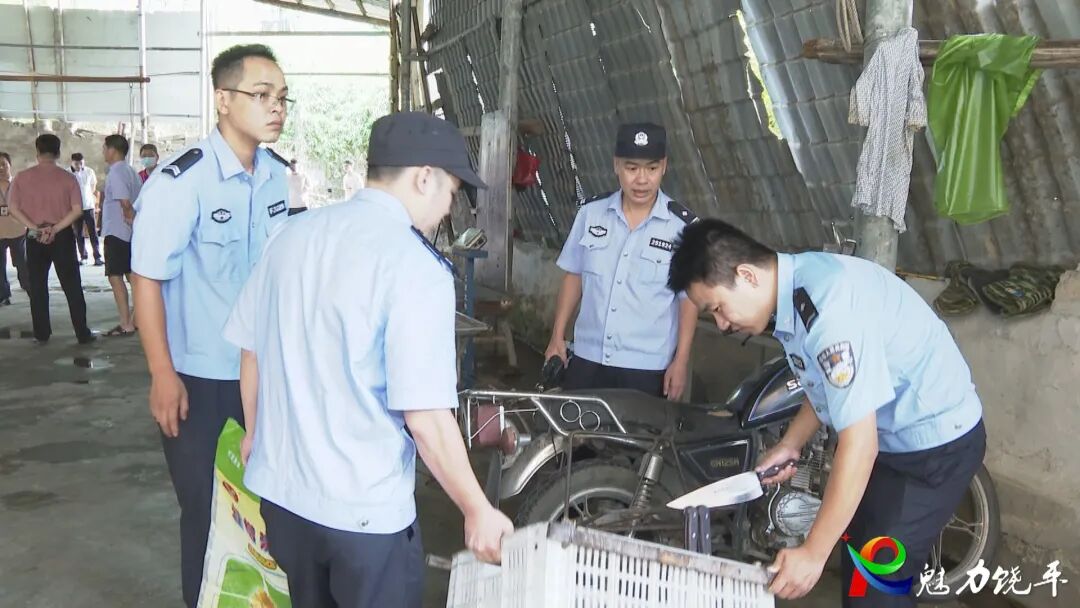饶平县县有关部门捣毁新丰镇一非法生猪屠宰场