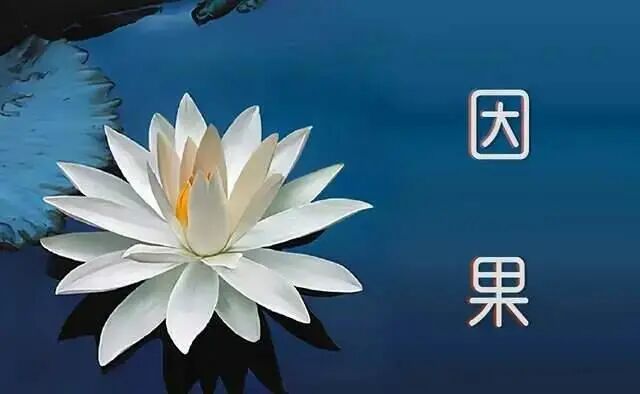 转发正气文章，帮你轻松戒掉-图片2