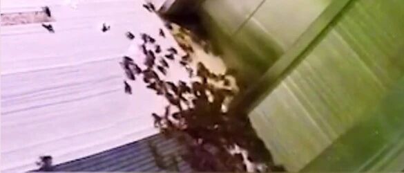 杭州女白领点外卖忘取,第二天上班看到这一幕吓懵了...