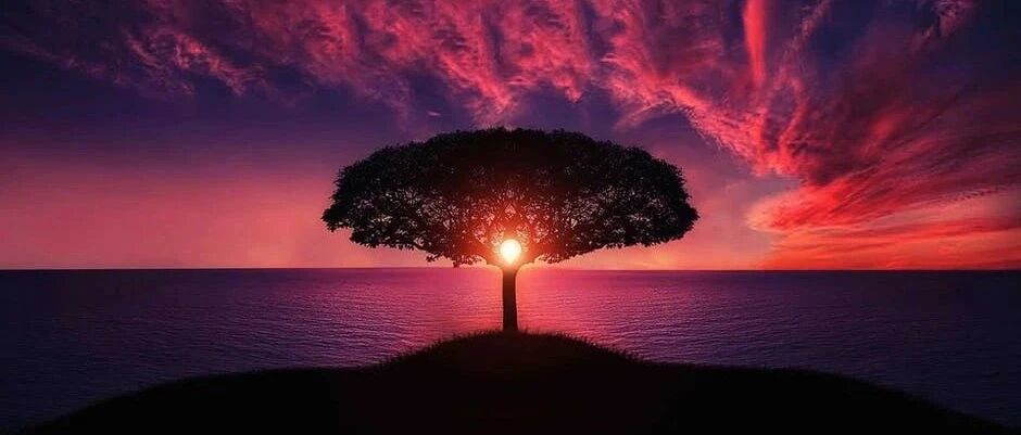 生命的最高境界（非常精辟）