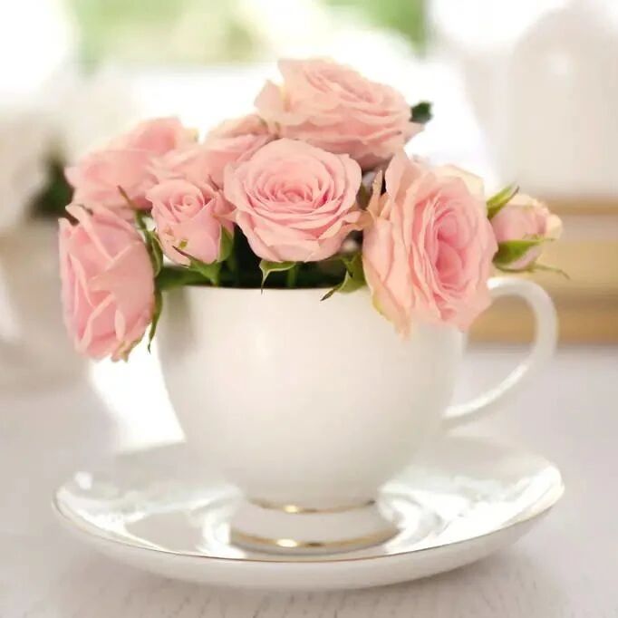 人品第一，态度第二，能力第三