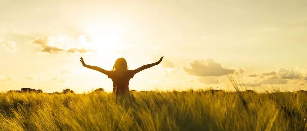 每个人的五次觉醒，越早明白越好