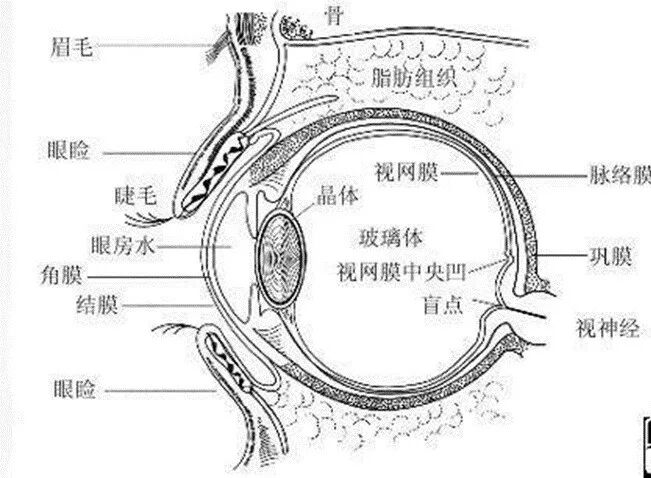 goldmann眼压计怎么读民航眼科那些事儿——眼压_https://www.jmylbn.com_新闻资讯_第3张