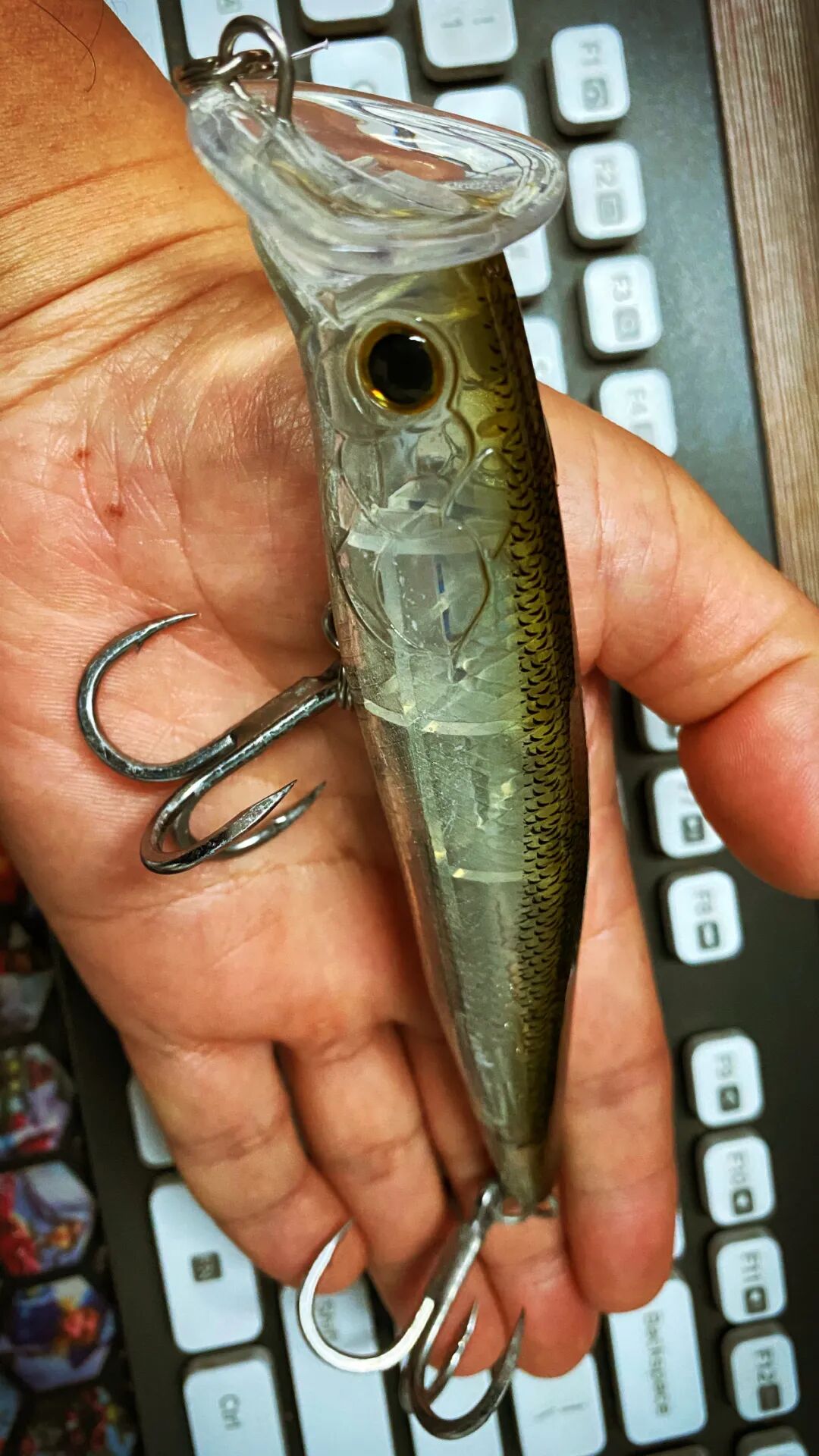 蓝旗鱼路亚 深海小抽抽 井架边大鱼咬不停 铁板钓鱼很好玩 蓝旗鱼路亚 微信公众号文章阅读 Wemp