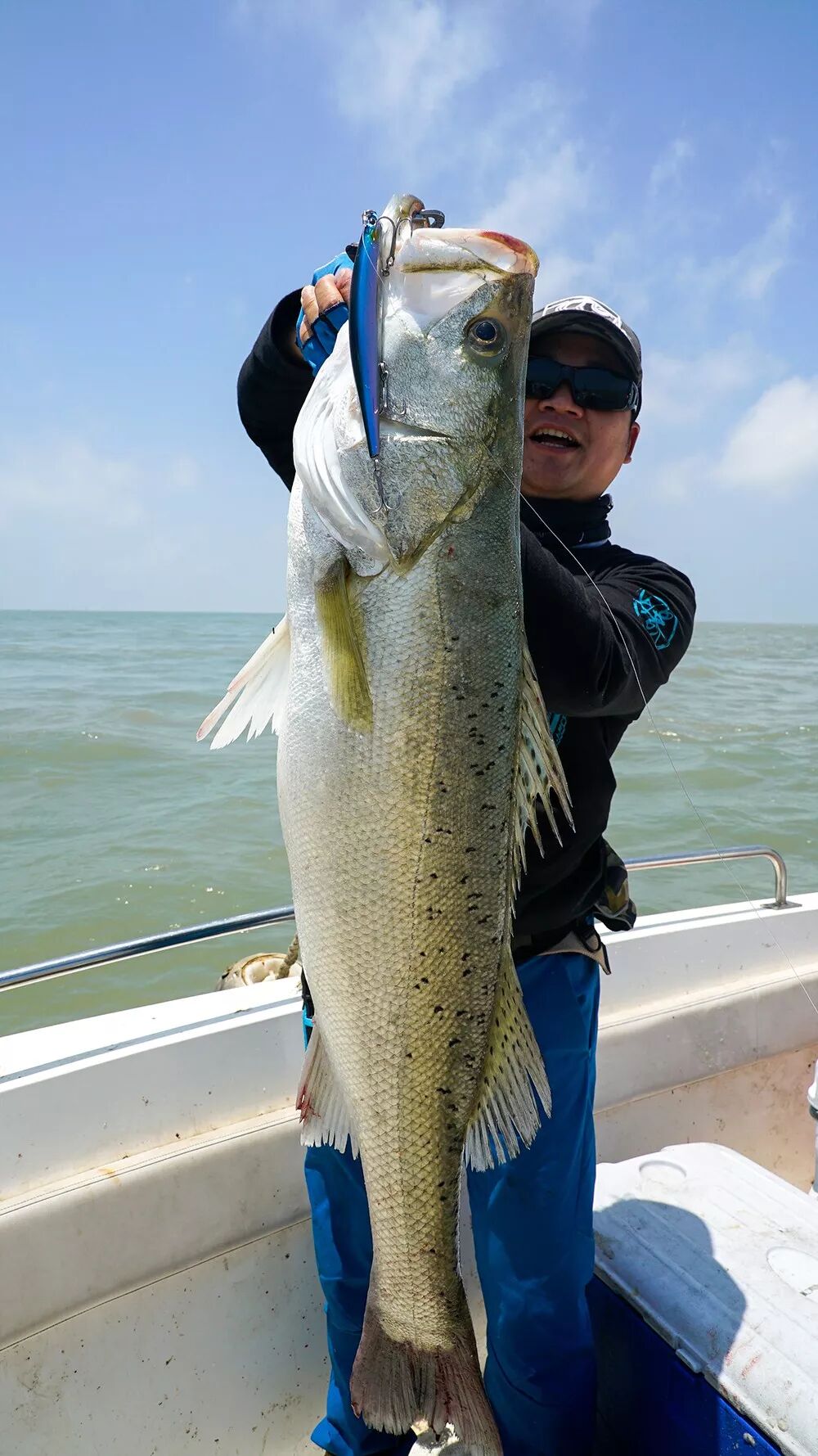 蓝旗鱼路亚 | 鸡骨礁的大鲈群来了,5个