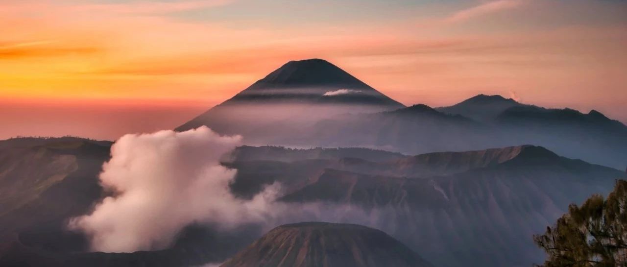 cover_image