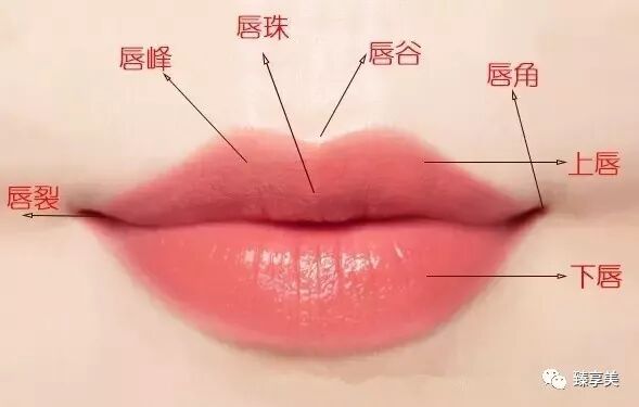 从美学和相学 看眉眼唇如何影响一个女人的美貌和运势 臻享美 微信公众号文章阅读 Wemp