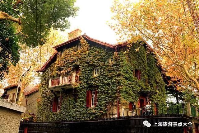 上海旅游景点排名前十_福建旅游十大景点排名_泰兴旅游排名景点