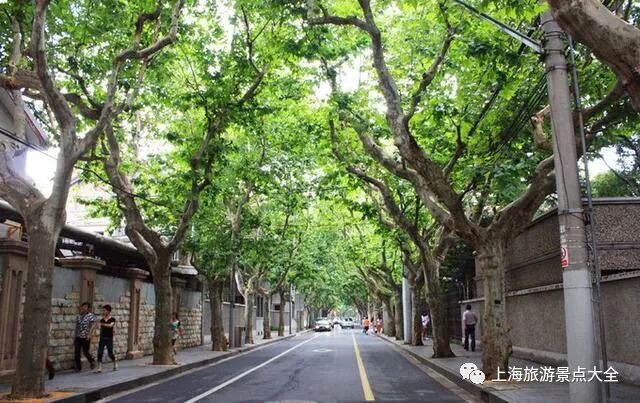 泰兴旅游排名景点_福建旅游十大景点排名_上海旅游景点排名前十