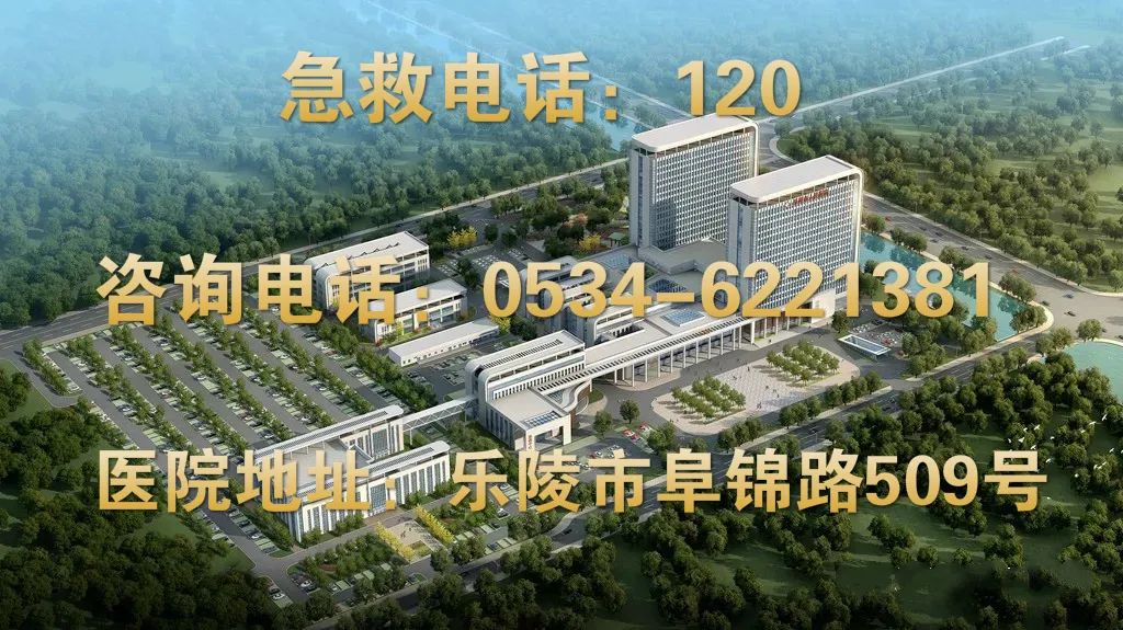 双能x骨密度检测仪为什么非得输入体重身高再添利器丨双能X射线骨密度检测仪——为您的健康“骨”把劲！_https://www.jmylbn.com_新闻资讯_第10张