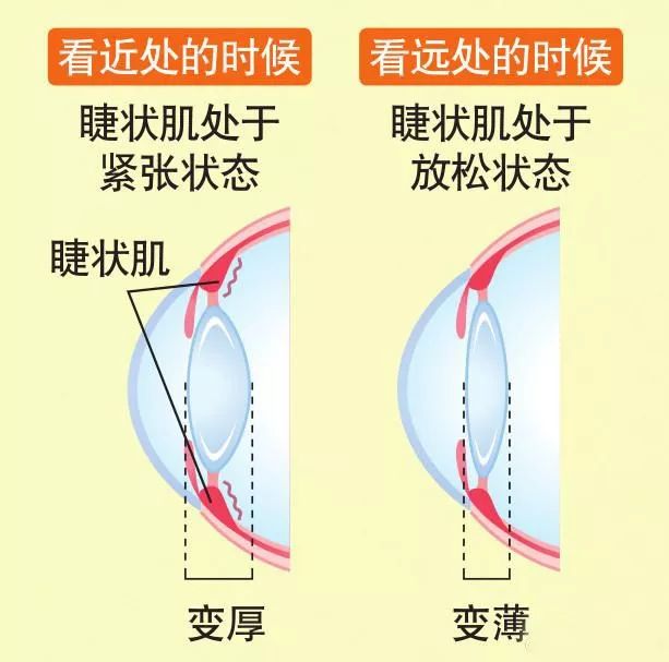 网课经验心得_网课经验心得_网课经验心得