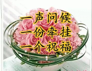 愿你事事如意,天天开心!