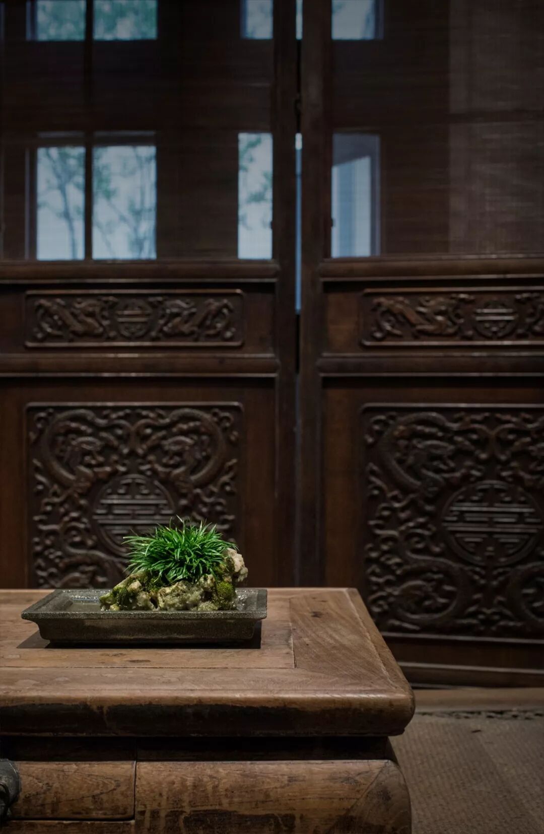 盆栽入室，席上为宾