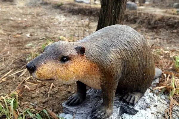 "闭关"两个月,它要在春节前与大家再次见面啦!