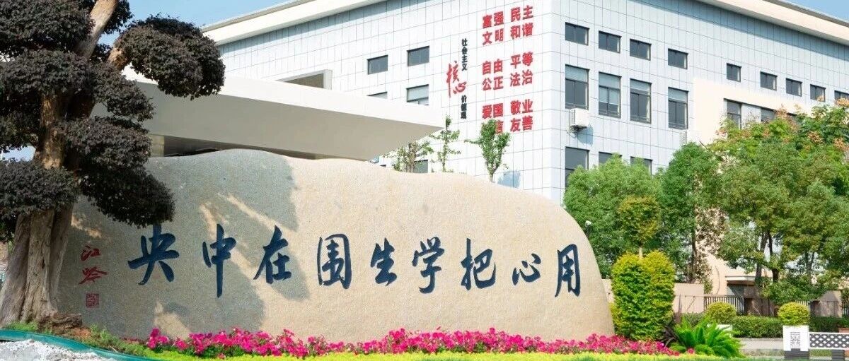 内容图片