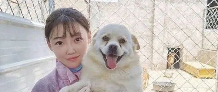 90后小姐姐颜值逆天就算了，竟然还养了1200多只狗！？