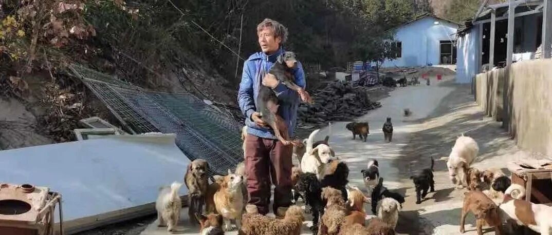 从超跑小开到破衣老汉，他带着一千多只狗狗跋山涉水……