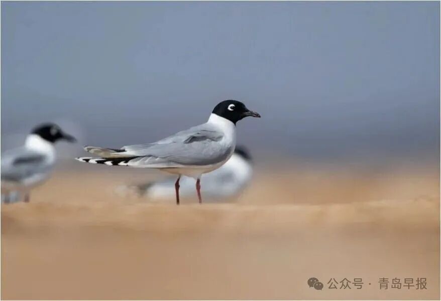 14e26c4eed4cbff8d8f7490239ba1177 (1).jpg