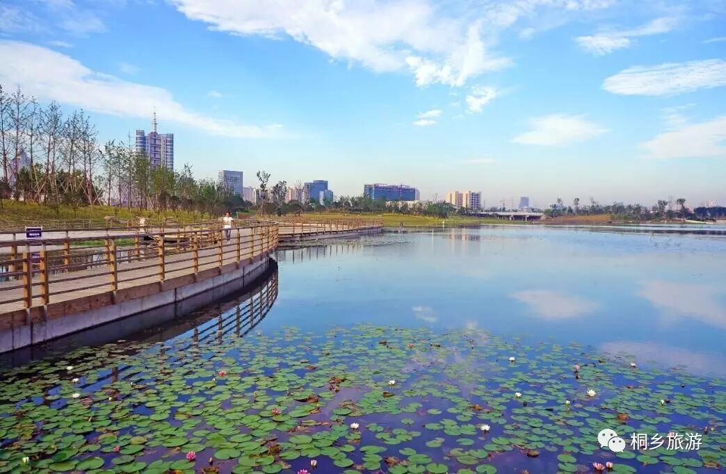 如果说乌镇是桐乡古典的代表,那么凤凰湖便是桐乡最幽雅的身影.
