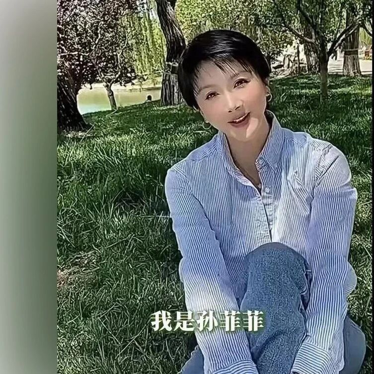 孙菲菲离婚大戏:从“满月脸”到“自由身”,娱乐圈婚姻启示录