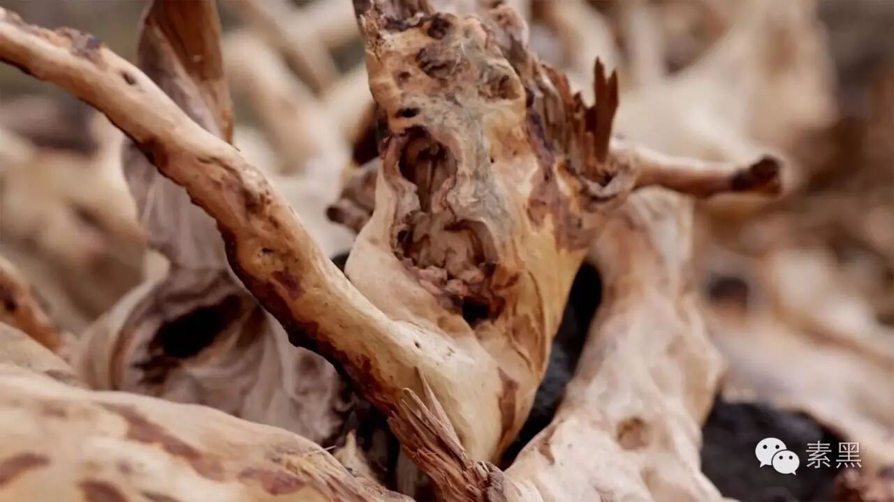 夏威夷檀香木sandalwood(hawaiian)最后我们看看一个比较熟悉的名字