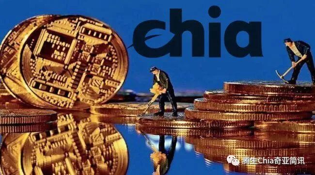 奇亚—绿色的数字资产
