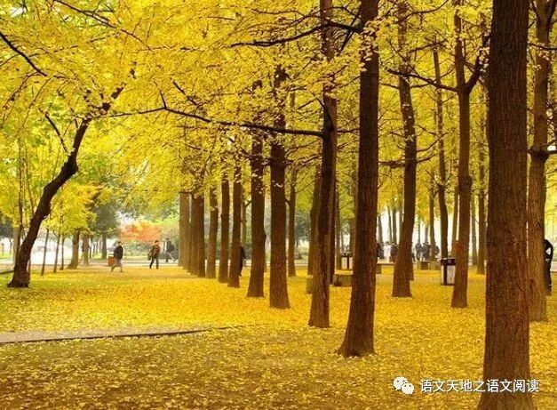 转发通知的通知标题_通知转发的标题_转发别人通知的通知标题