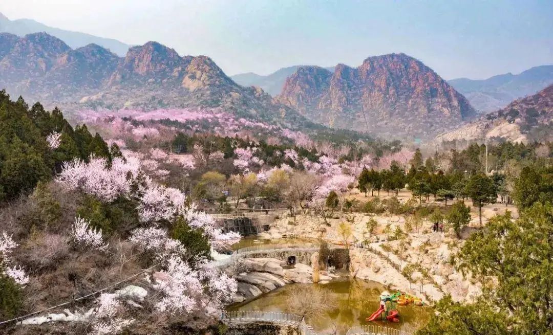 北京凤凰岭自然风景区门票_北京凤凰岭门票_北京凤凰岭景区门票优惠政策